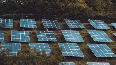 Several rows of solar panels are arranged on a grassy hillside, surrounded by dense green trees, suggesting a focus on renewable energy.